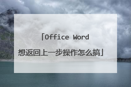 Office Word想返回上一步操作怎么搞