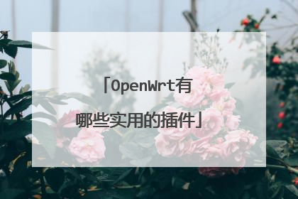 OpenWrt有哪些实用的插件