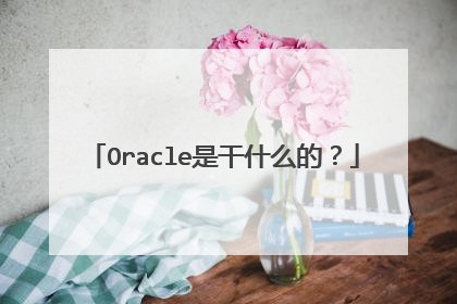 Oracle是干什么的？
