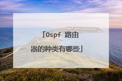 Ospf 路由器的种类有哪些