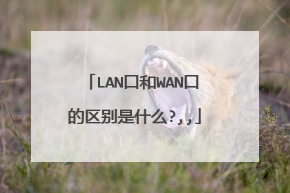 LAN口和WAN口的区别是什么?,,