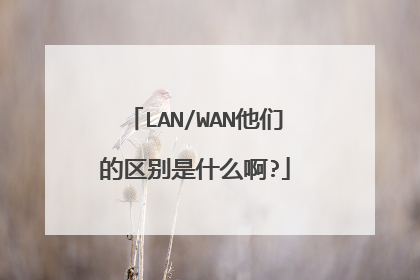 LAN/WAN他们的区别是什么啊?