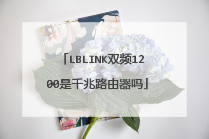 LBLINK双频1200是千兆路由器吗