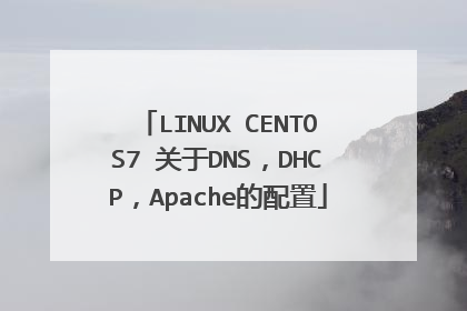 LINUX CENTOS7 关于DNS，DHCP，Apache的配置