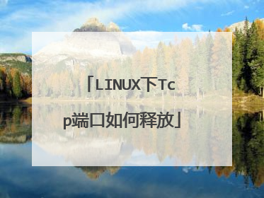 LINUX下Tcp端口如何释放