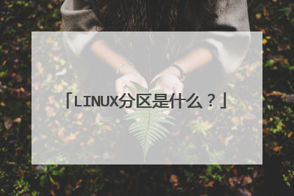 LINUX分区是什么？
