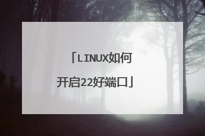 LINUX如何开启22好端口