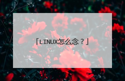 LINUX怎么念?