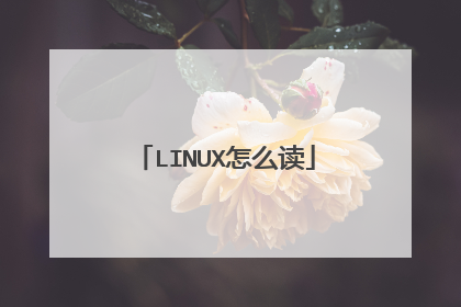 LINUX怎么读