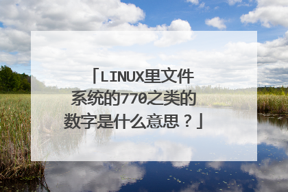 LINUX里文件系统的770之类的数字是什么意思?