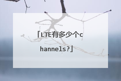 LTE有多少个channels?