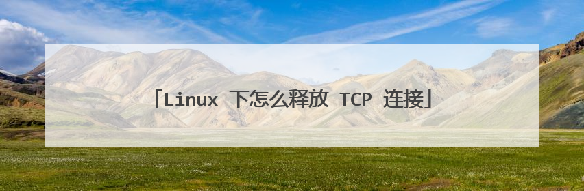 Linux 下怎么释放 TCP 连接