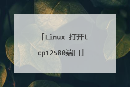Linux 打开tcp12580端口