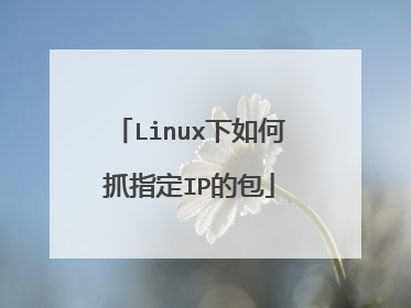 Linux下如何抓指定IP的包