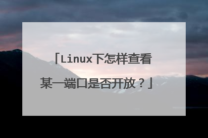 Linux下怎样查看某一端口是否开放?