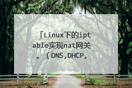 Linux下的iptable实现nat网关。（DNS,DHCP,外网，内部局域网）