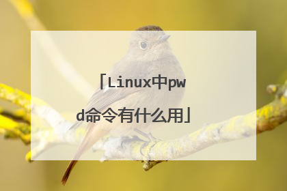 Linux中pwd命令有什么用