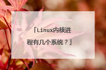 Linux内核进程有几个系统?