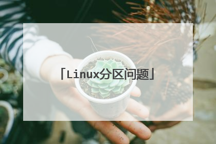 Linux分区问题