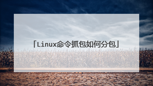 Linux命令抓包如何分包