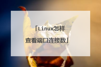 Linux怎样查看端口连接数