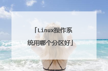 Linux操作系统用哪个分区好