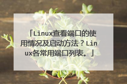 Linux查看端口的使用情况及启动方法？Linux各常用端口列表。