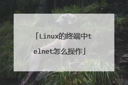 Linux的终端中telnet怎么操作