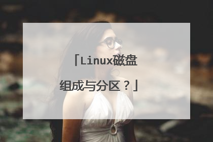 Linux磁盘组成与分区?