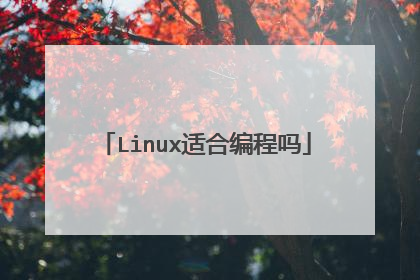 Linux适合编程吗