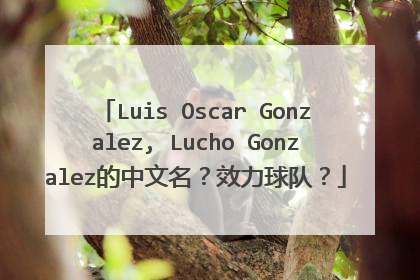 Luis Oscar Gonzalez, Lucho Gonzalez的中文名?效力球队?
