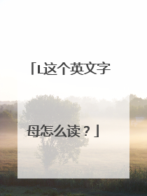 L这个英文字母怎么读？