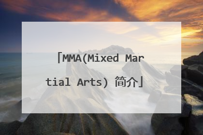 MMA(Mixed Martial Arts) 简介