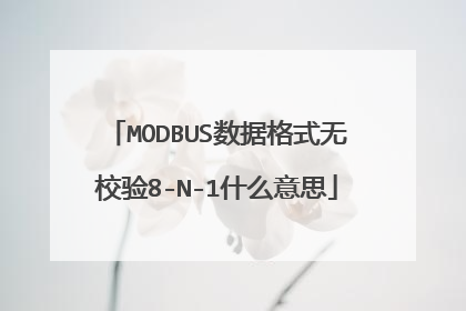 MODBUS数据格式无校验8-N-1什么意思