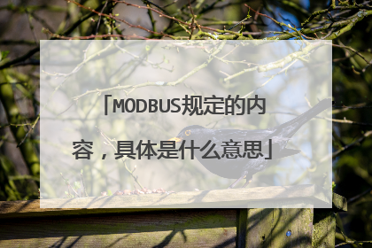 MODBUS规定的内容，具体是什么意思