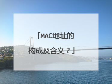 MAC地址的构成及含义？