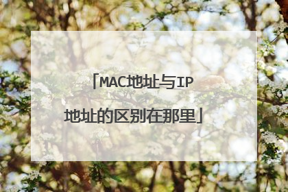 MAC地址与IP地址的区别在那里