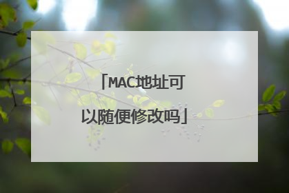 MAC地址可以随便修改吗