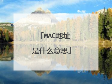 MAC地址是什么意思