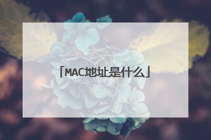 MAC地址是什么