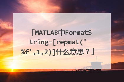 MATLAB中FormatString=[repmat('%f',1,2)]什么意思？