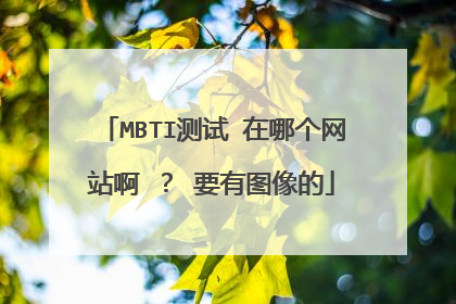 MBTI测试 在哪个网站啊 ? 要有图像的