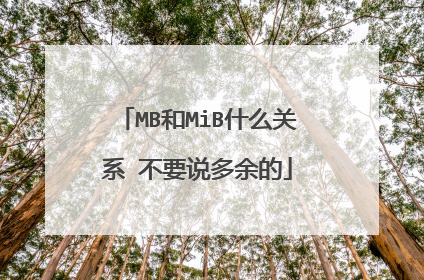 MB和MiB什么关系 不要说多余的
