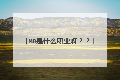 MB是什么职业呀？？