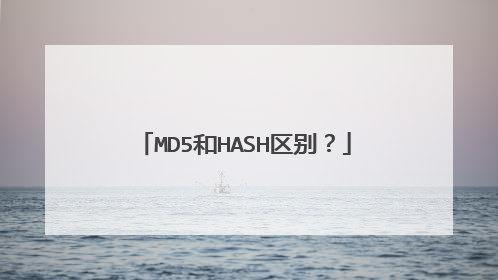 MD5和HASH区别？