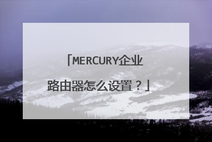 MERCURY企业路由器怎么设置？