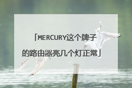 MERCURY这个牌子的路由器亮几个灯正常