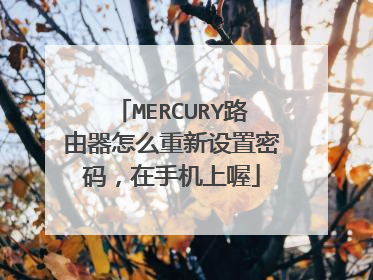 MERCURY路由器怎么重新设置密码，在手机上喔