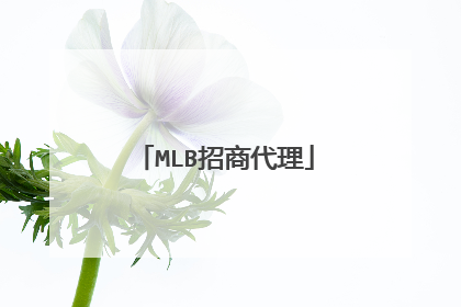 MLB招商代理