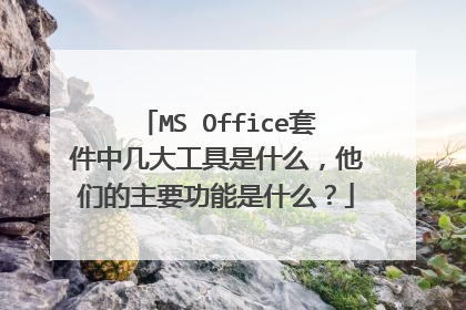 MS Office套件中几大工具是什么,他们的主要功能是什么?